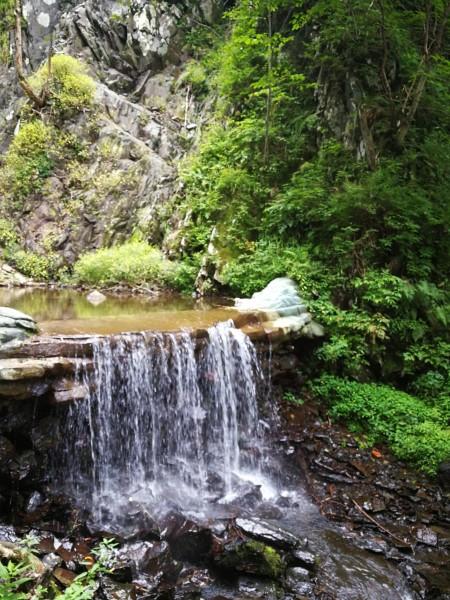 鲁媒:新援高准翼参加泰山队部分训练,克雷桑归队在即